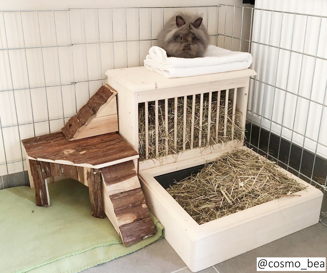 kaninchentoilette-mit-heuraufe-holz-gehege